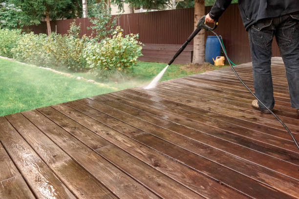 Animal Enclosure Cleaning in Granite City, IL